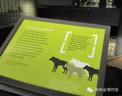 WDCM上传图片 WDCM上传图片