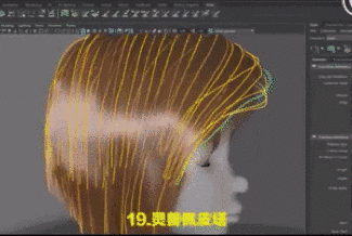 WDCMϴͼƬ