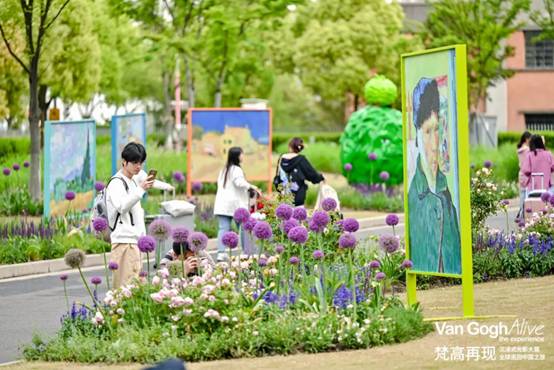 ���ڻ�԰�� �Ϳ��Ŷ��������Զ�����